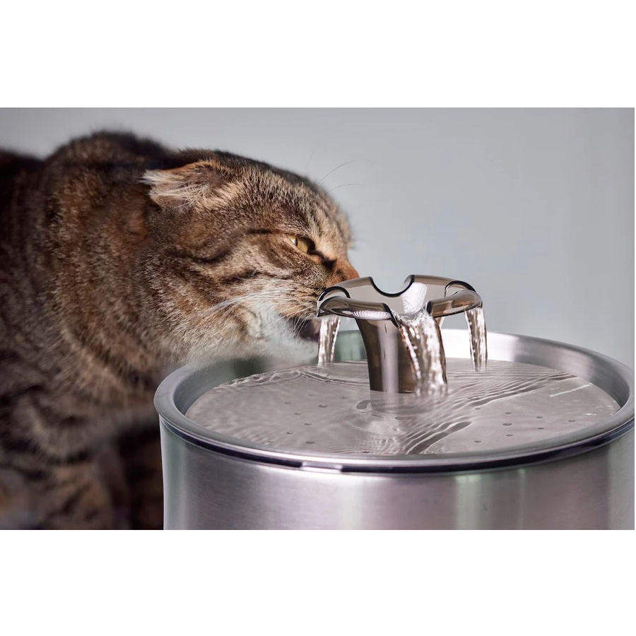 Bebedouro Automático Fonte 2,5L para cães e gatos