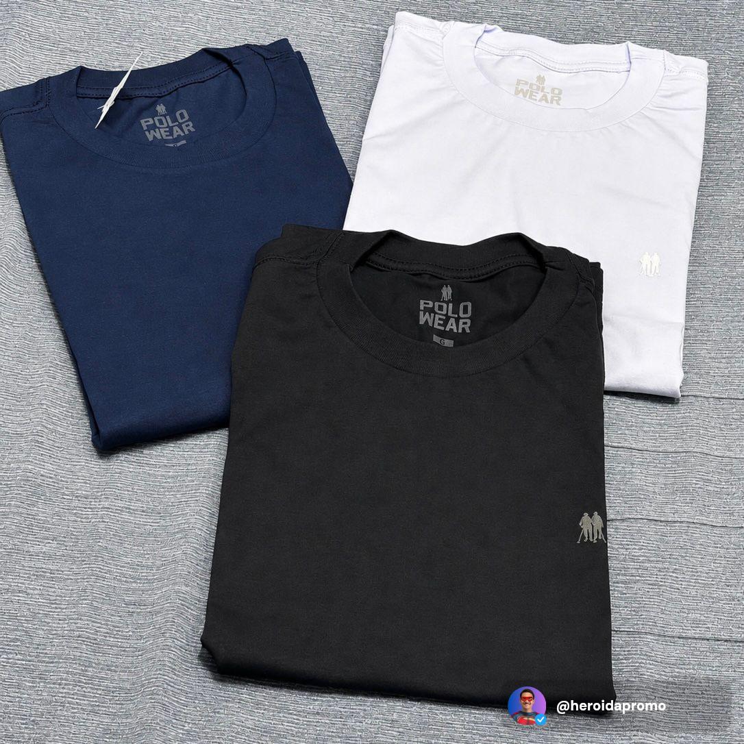 Kit 3 Camisetas Masculinas Polo Wear Cores Sortidas