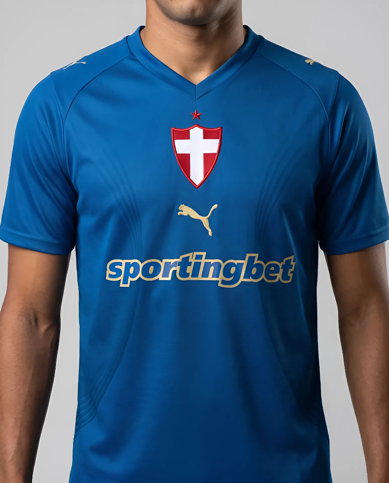 Camisa Palmeiras III Puma