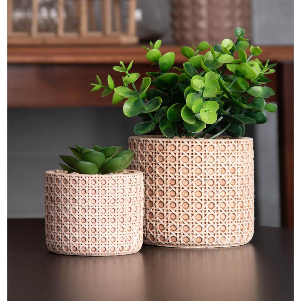 Cachepot Wolff de Cerâmica com Suculenta Treliça 7,5cm | Shopee Brasil