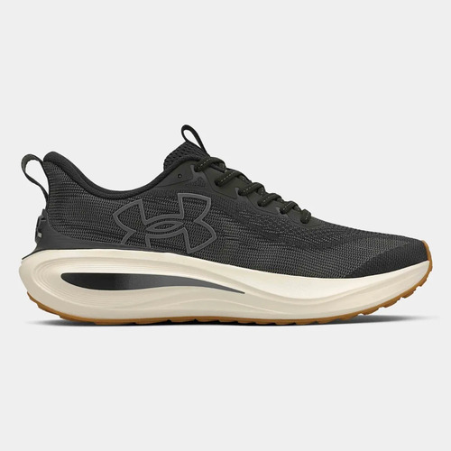 Under Armour Charged Skyline 5