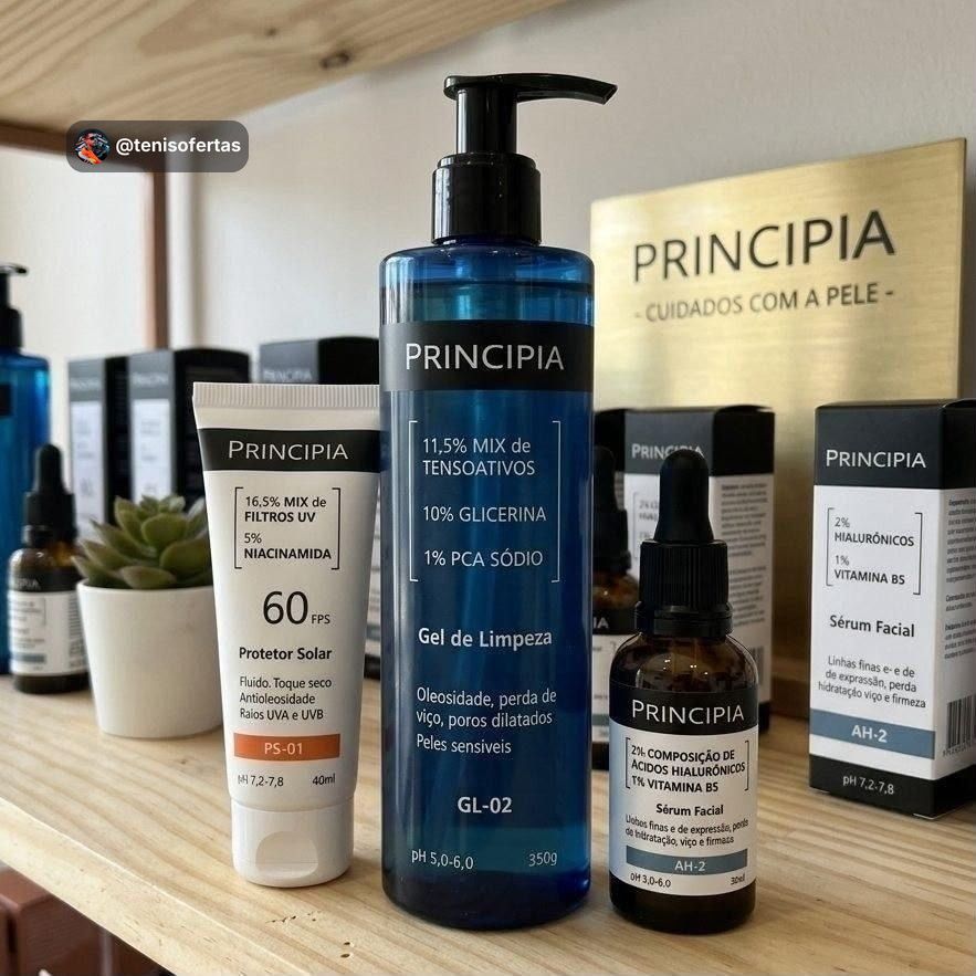 Principia kit primeira rotina c gl 02 ah 2 ps 01 fps60