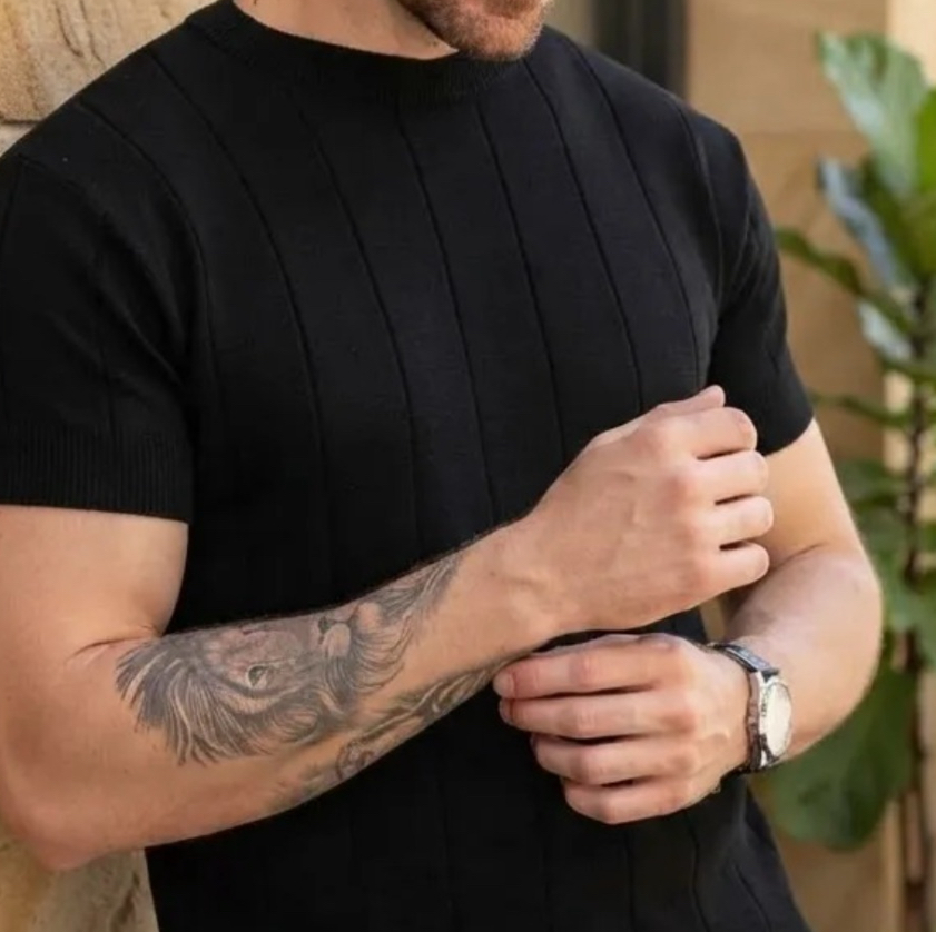 Camiseta Masculina Tricô Modal Premium Canelada (P ao G1)